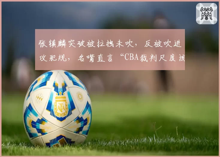 张镇麟突破被拉拽未吹，反被吹进攻犯规，名嘴直言“CBA裁判尺度该统一了”