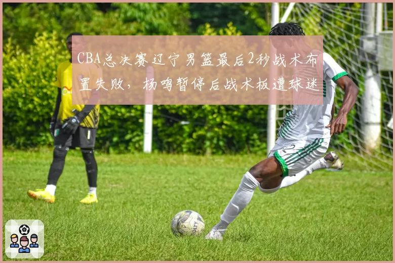 CBA总决赛辽宁男篮最后2秒战术布置失败，杨鸣暂停后战术板遭球迷吐槽